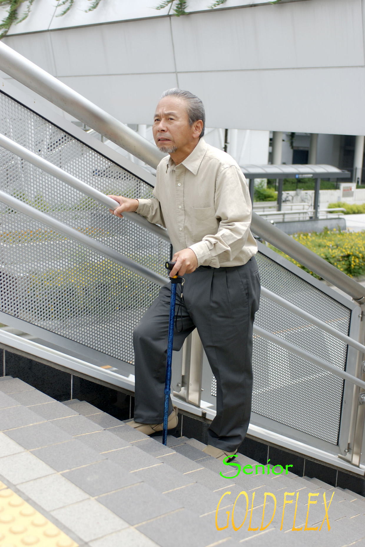 一日の生活イメージ
